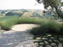 Sistemazione aree verdi casolare - Vivai Piante Gabbianelli