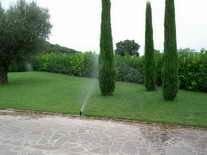 realizzazione impianto irrigazione automatico - Vivai Piante Gabbianelli
