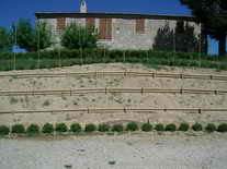 Realizzazione scaletta in legno e contenimento del terreno - Vivai Piante Gabbianelli