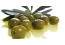 Impianto Oliveto – Coltivazione olivo